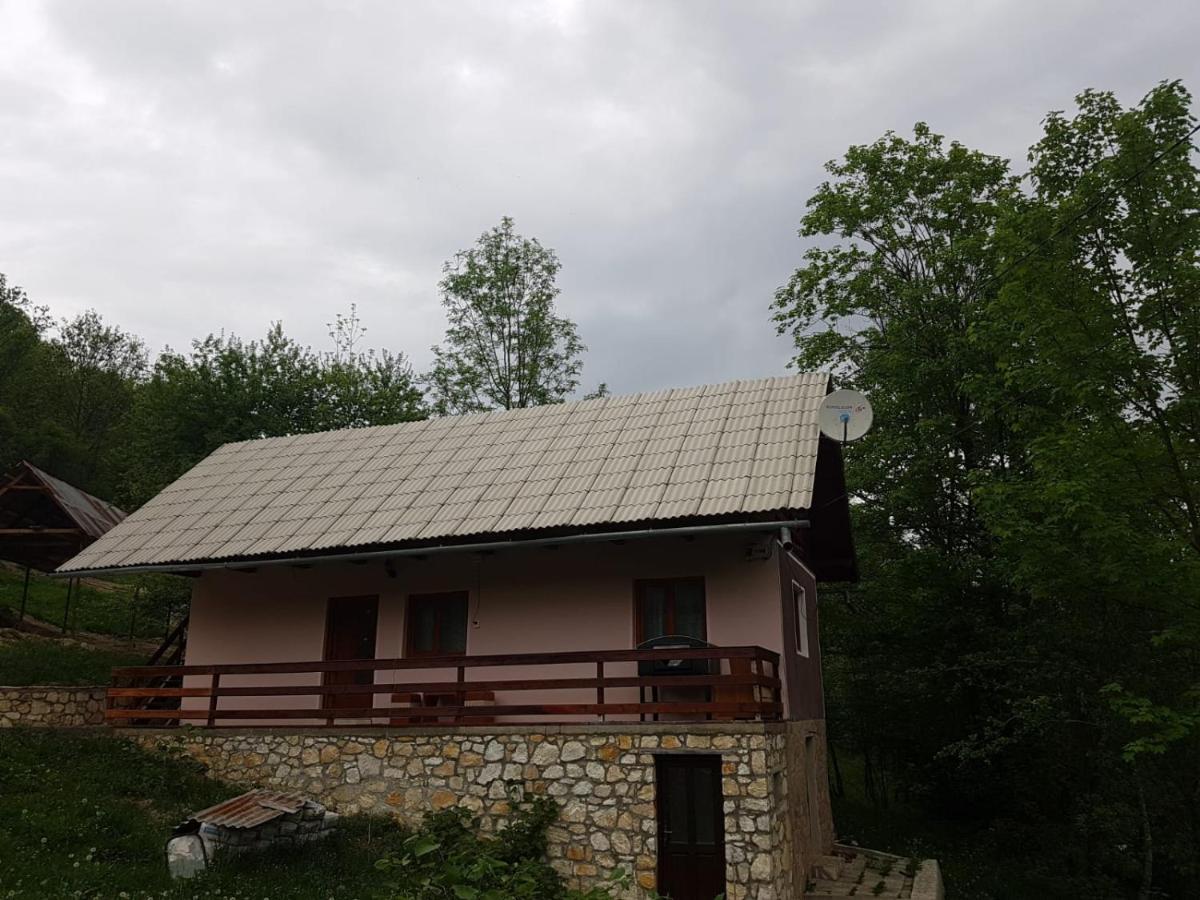 Hotel Cabana Pe Valea Ariesului Lupsa Exterior foto